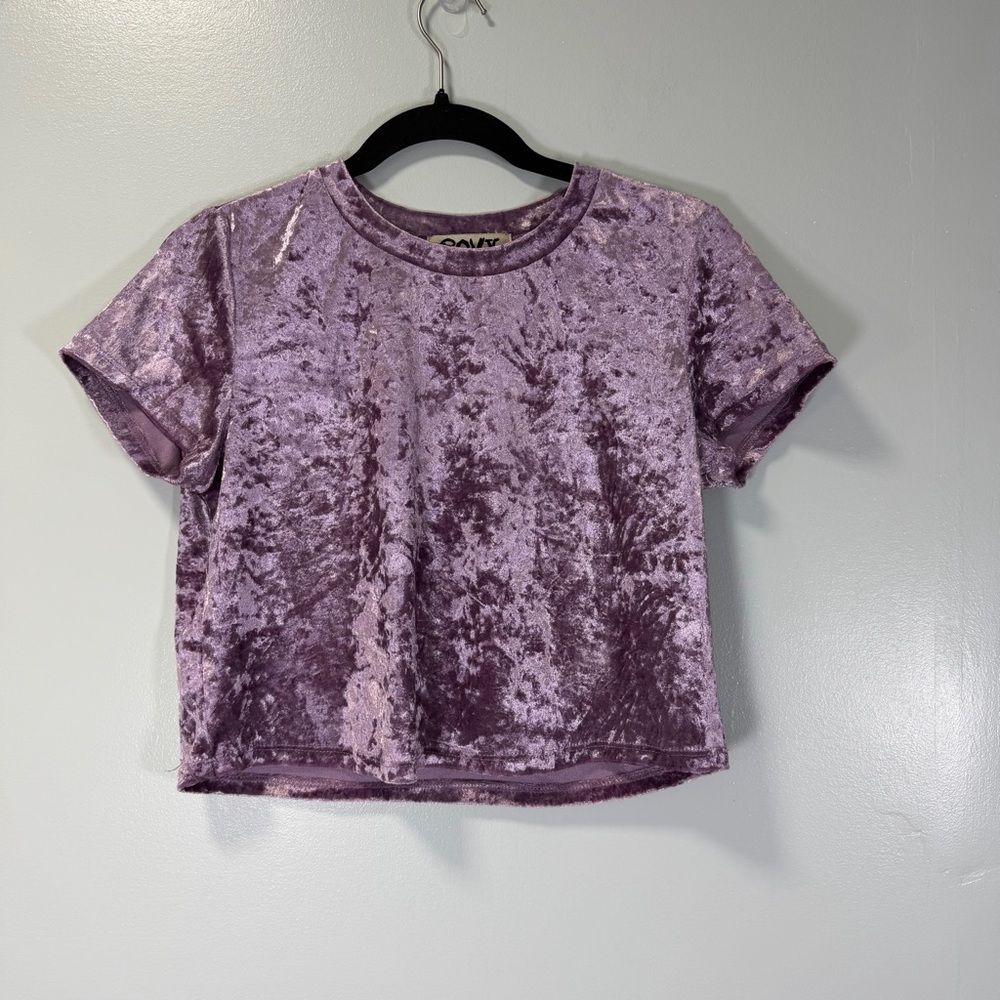 Envy Amazingly Chic Purple Crushed Velvet Crop Top Short Sleeve M